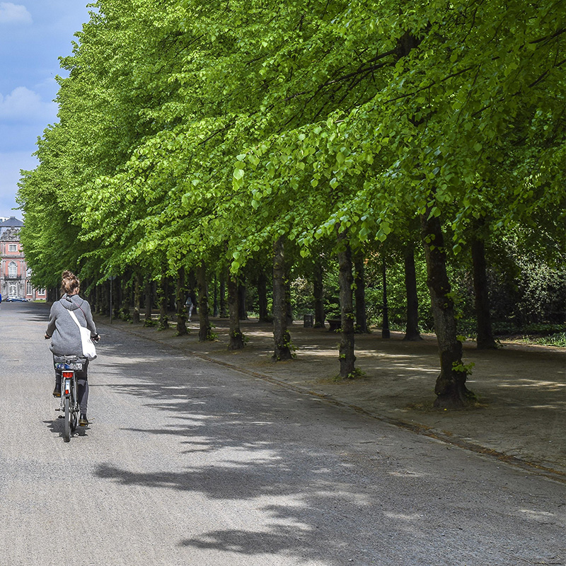 Pista-ciclabile.jpg